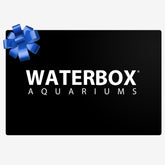 Waterbox Aquariums Gift Card