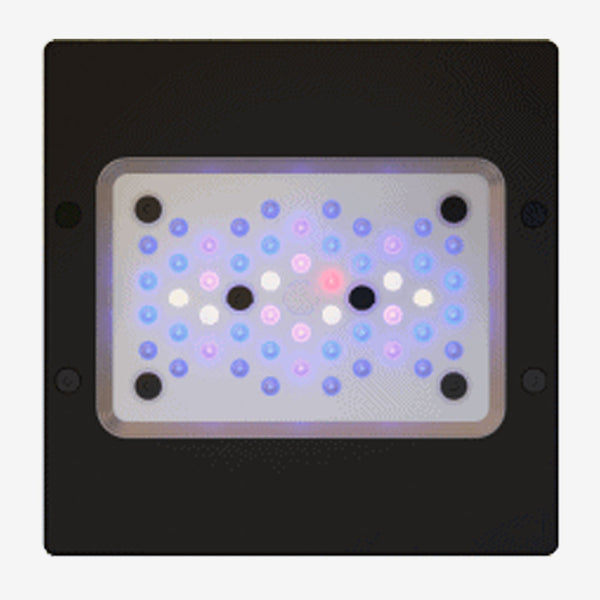 xr15.g6.blue_grande.jpg?v=